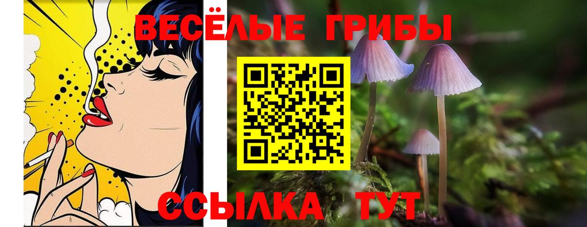 Псилоцибиновые грибы MAGIC MUSHROOMS Выкса